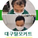 이강허밍hair 이미지