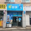 힘장어 Daum카페