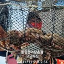초이스피싱 이미지