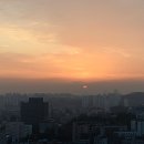 여명 뉴시스