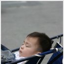 기송 이미지