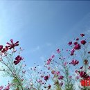 해와달 지역아동센터 이미지