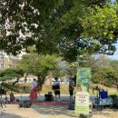 성밖숲정보센터 | 경북 성주 8월 가볼만한곳 성밖숲 맥문동 개화상황