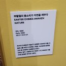 아르누보 | 가장 순수한 화가 알폰스 무하의 아르누보 전시 관람 후기