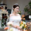 토브스튜디오 이미지