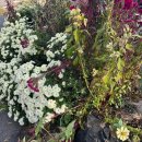 문산신발백화점 이미지