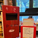 시넬 이미지
