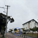 박하제주 | 제주 구남동 맛집 태풍 쌀국수 솔직 후기(구제주 맛집 추천)