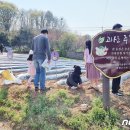 김정수농장 이미지