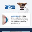 백마동물병원 이미지
