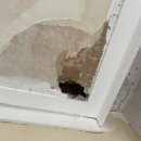 분당-122 이미지