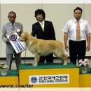 루딕 이미지