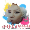 짝노래짱