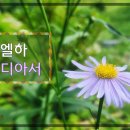 24. 9. 25(수) 사무엘하 21장, 갈라디아서 1장 이미지