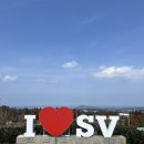 소락스위스 | 제주 한달살이 시작! 제주 조천 스위스빌리지 카페 다온 메리골드 민박 내돈내산 리얼 후기 과정