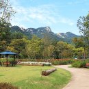 서울 YMCA 다락원 캠프장 이미지
