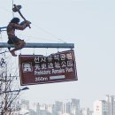 앰비언트 이미지