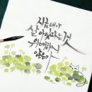 캘리수묵화 이미지