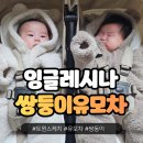 스케치 | 쌍둥이 유모차 고민 끝에 선택한 잉글레시나 트윈스케치 후기