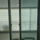 금산느티나무 이미지