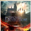 Fantastic Beasts-The Secrets of Dumbledore 이미지