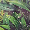 창녕미술협회전 이미지