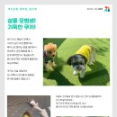 개님살롱 레이크사이드 이미지