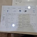 신촌 KCS 김창수의원 30대 남자 하지정맥류 검사 수술 후기!