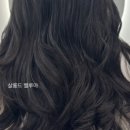 살롱드67 이미지