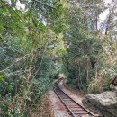 숲속의작은마을 이미지