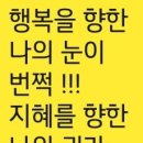 심안 이미지