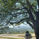 속초마리나베이스테이 이미지