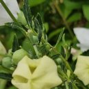 국가공인 행정사사무소 이미지