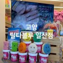 일산전통시장 | 일산역 일산시장 오일장 나들이 틸다블루 일산점