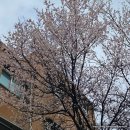 시온모터스 | [대전 대화동 시온모터스]카닥 수리후기, 내돈내산