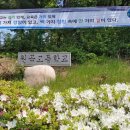 원곡고교길 네이버블로그