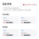 스몹고양 이미지