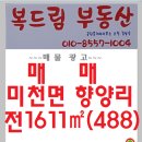 미천면 향양리 주말농장 텃밭 농지원부용 농지 토지 땅 이미지