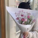 푸르르(Prrr) 이미지