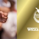 태권도문화체육관 이미지