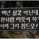 근주 이미지