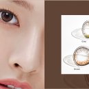 다비치안경 신서귀포이마트 옆점 이미지