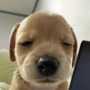 먹자 네이버블로그