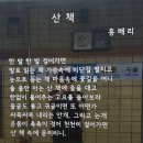 산책 - 홍해리 이미지