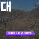 금곡2리마을회관 이미지