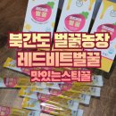 노화농장 | 진짜 달콤한 내돈내산 후기💛 | 북간도 벌꿀농장 레드비트벌꿀 스틱꿀 항노화식품 면역력강화꿀 다이어트...