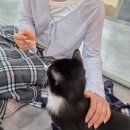 댕댕스토리 | [부천역고양이카페] 중학생 두 딸과 다녀온 <댕댕냥냥 부천점> 마음까지 따뜻해지는 부천역데이트 코스...