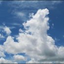 어부농장 이미지