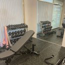 스쿼트게러지 이미지