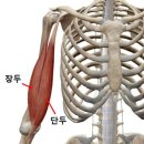 올라잇짐 | 이병국 트레이너 올라잇짐 방문후기